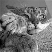 Laureato in Giurisprudenza, in Filosofia e in Scienze Storiche, disponibile per ripetizioni di Storia e Filosofia